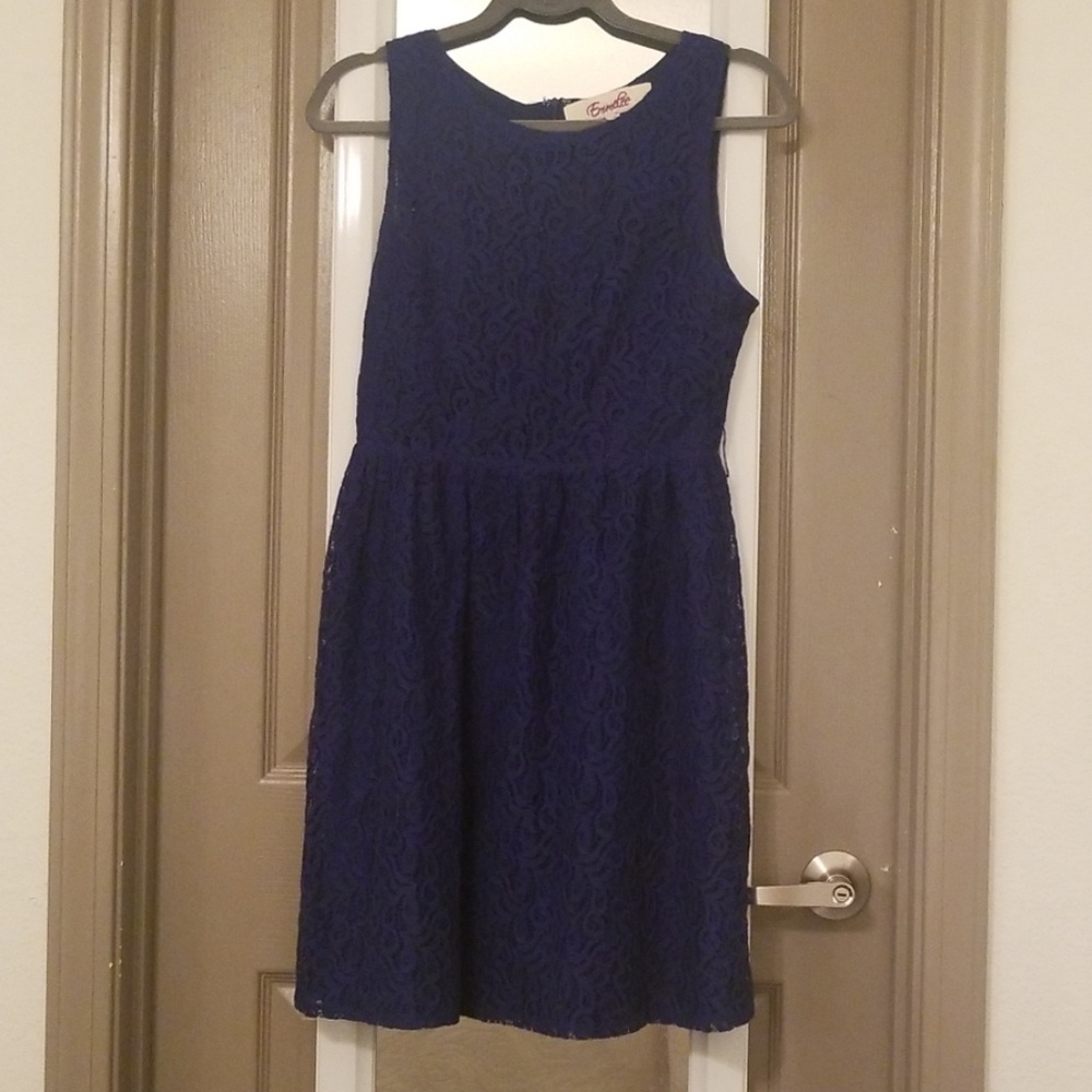 Francesca's Lace Dress